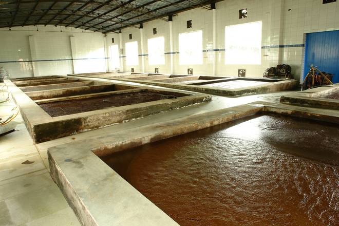 年匠心酿岁月 薪火相传谱新篇麻将胡了2试玩江津酿造：百(图7)