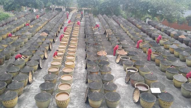 年匠心酿岁月 薪火相传谱新篇麻将胡了2试玩江津酿造：百(图3)