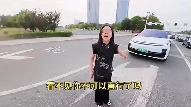续：女司机气到流产公布完整行车记录仪麻将胡了app河北女司机与骑手冲突后(图16)