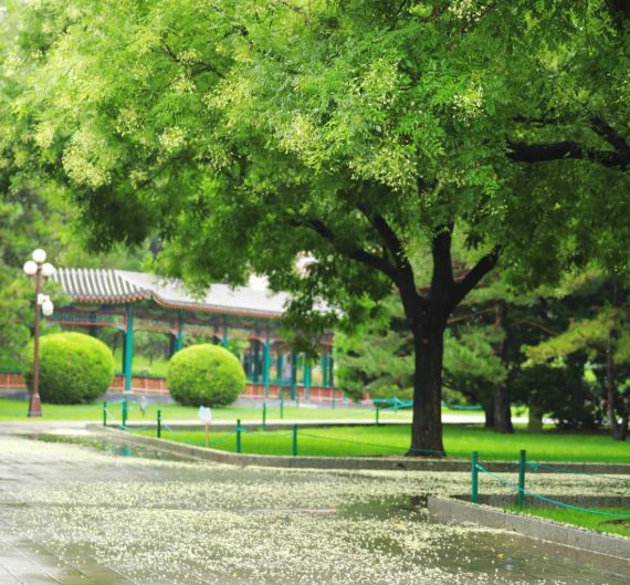 旅行社有哪些？北京正规靠谱旅行社口碑榜PG电子麻将胡了模拟器北京口碑最好的