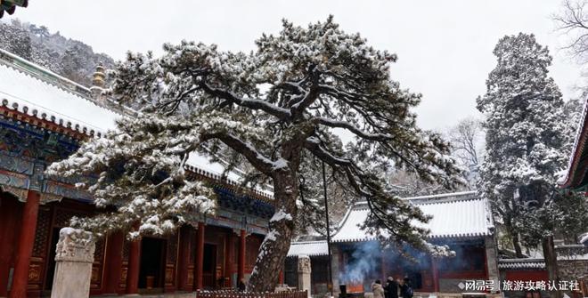 略跟团游全解析这样玩太值了麻将胡了试玩北京四日游攻(图2)