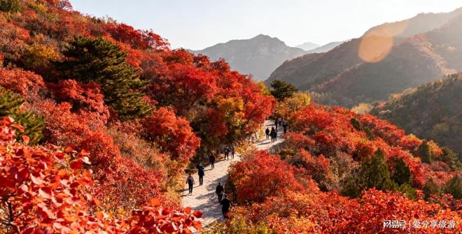 略经典报团路线这样玩太值了PG麻将胡了北京三日游攻(图2)