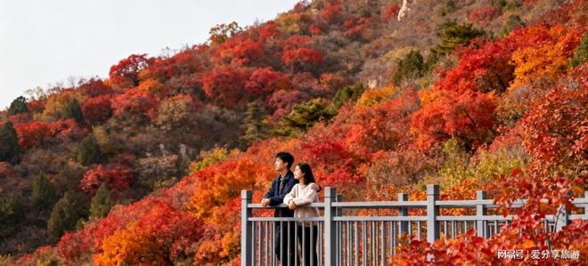 略经典报团路线这样玩太值了PG麻将胡了北京三日游攻(图3)