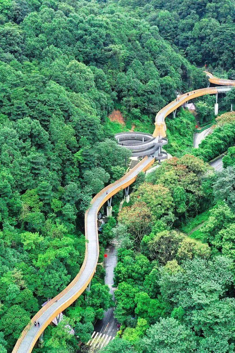 今年央视春晚分会场在宜宾麻将胡了被春晚翻牌了！(图6)