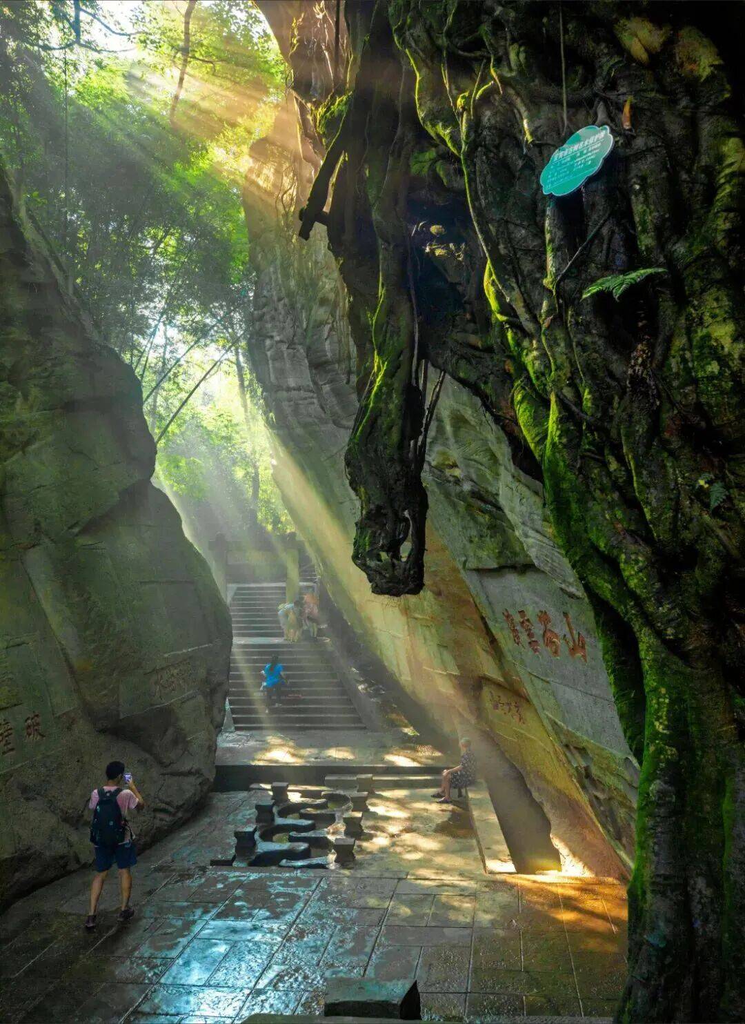 今年央视春晚分会场在宜宾麻将胡了被春晚翻牌了！(图14)